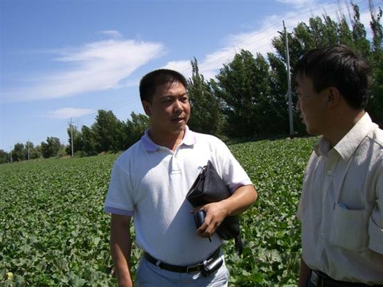06年公司技術人員到農(nóng)13師淖毛湖農(nóng)場與李泉喜站長察看哈密瓜示范地.jpg
